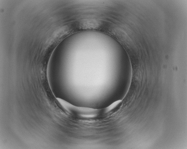 X0000088600743200705251214