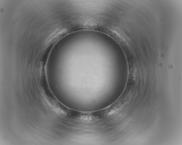 X0000088600744200705251214