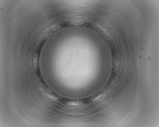 X0000088600745200705251214