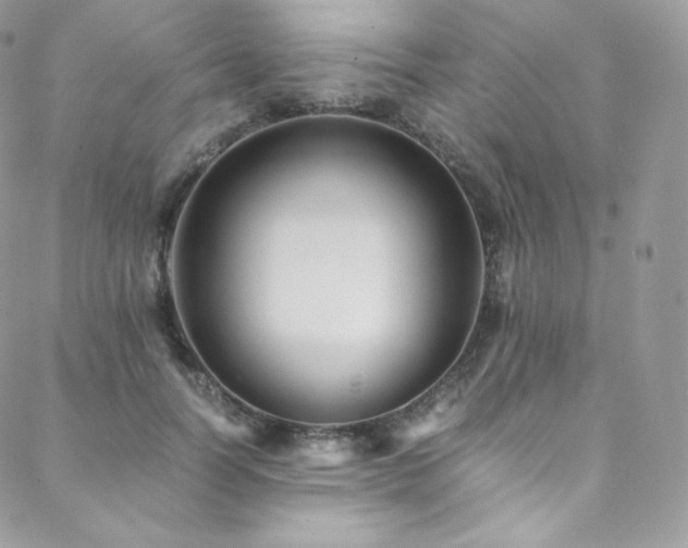 X0000088600746200705251214