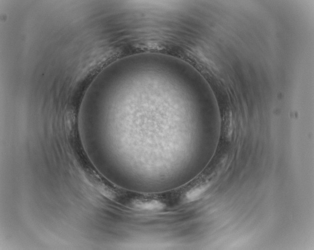 X0000088600747200705251214