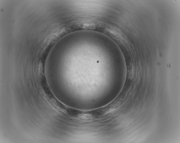 X0000088600748200705251214