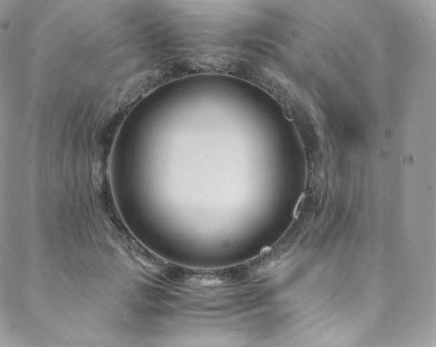 X0000088600749200705251214