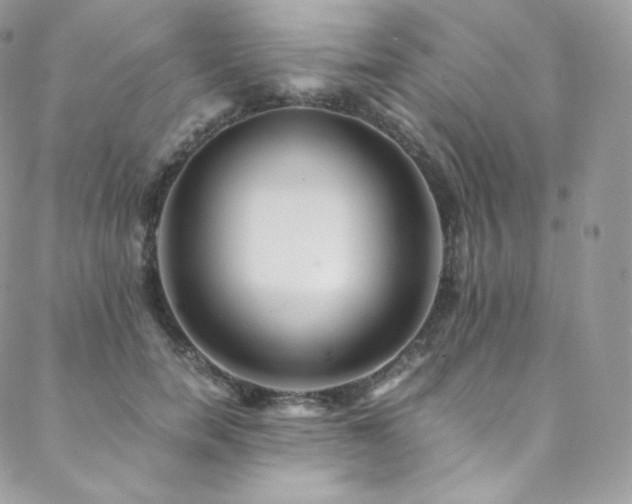 X0000088600750200705251214