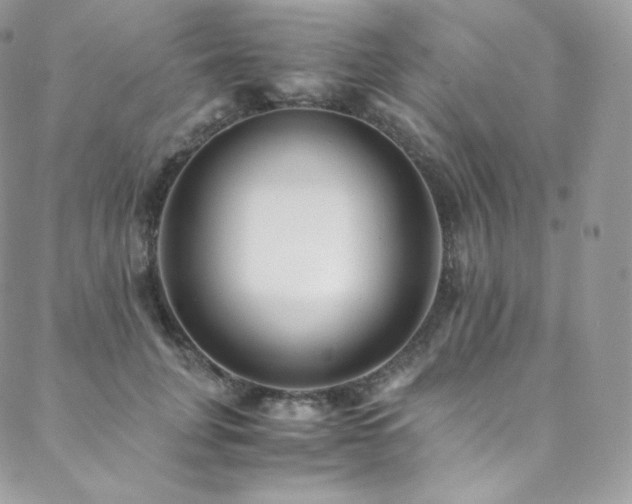 X0000088600751200705251214