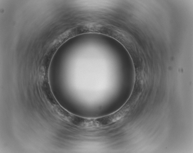 X0000088600752200705251214