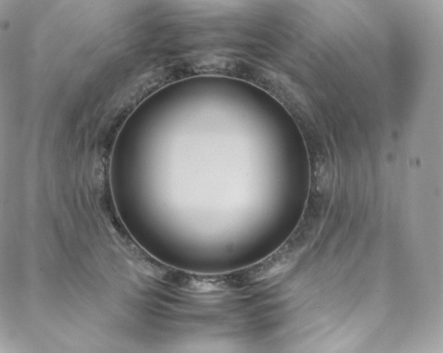 X0000088600753200705251214