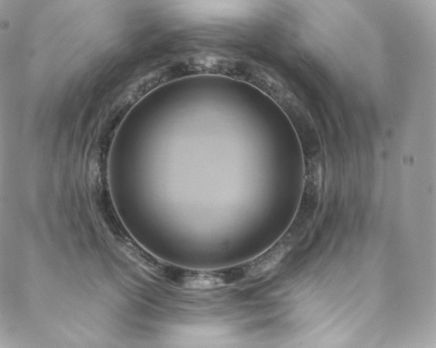 X0000088600754200705251214