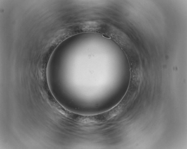 X0000088600755200705251214