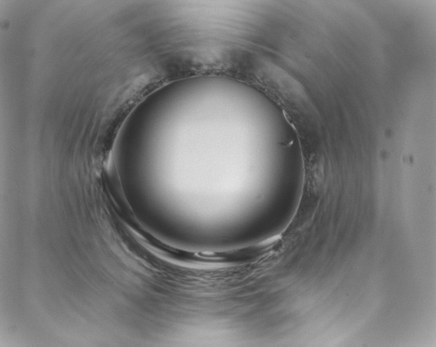 X0000088600756200705251214