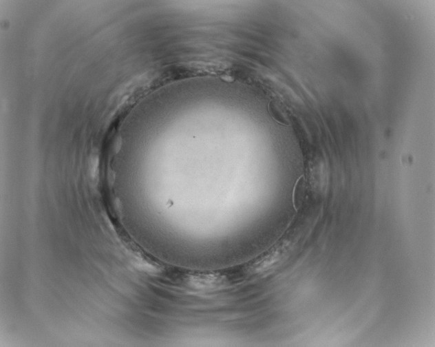 X0000088600757200705251214