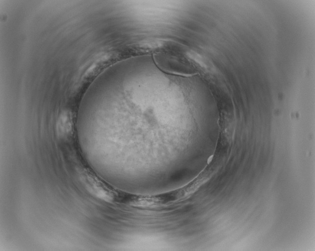 X0000088600758200705251214