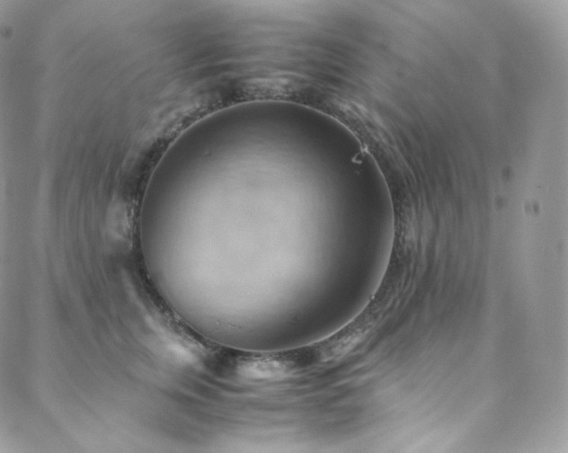 X0000088600759200705251214