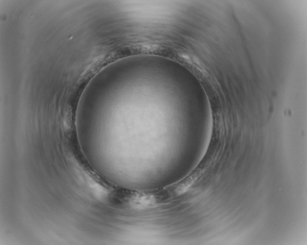 X0000088600760200705251214