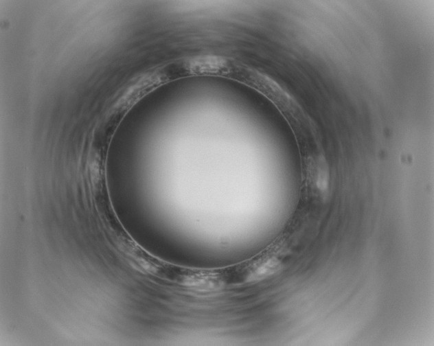 X0000088600761200705251214