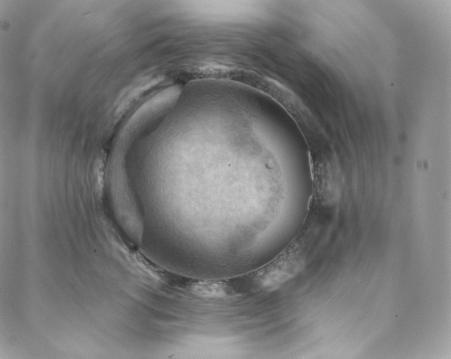 X0000088600762200705251214