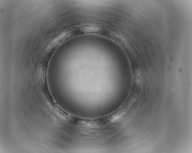 X0000088600763200705251214