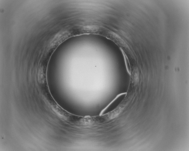 X0000088600764200705251214