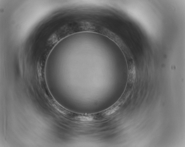 X0000088600765200705251214