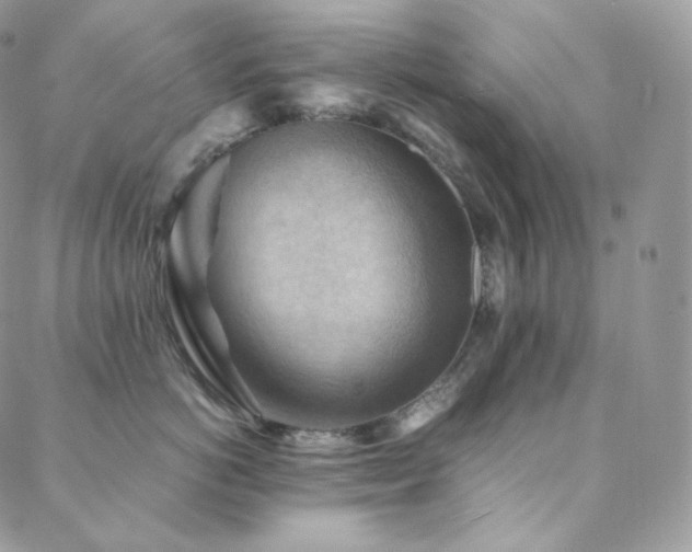 X0000088600766200705251214