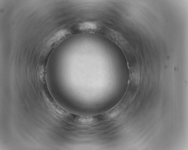 X0000088600767200705251214