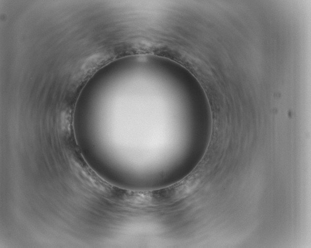 X0000088600768200705251214