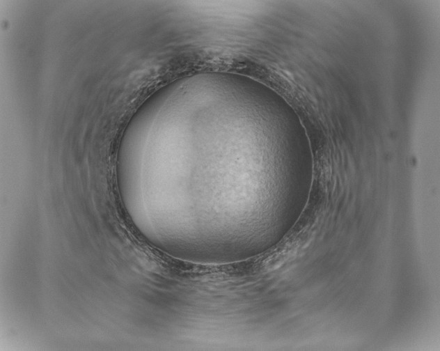 X0000088600769200705251213