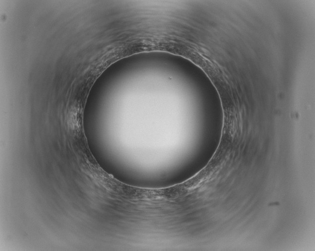 X0000088600770200705251213