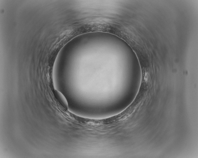 X0000088600771200705251213