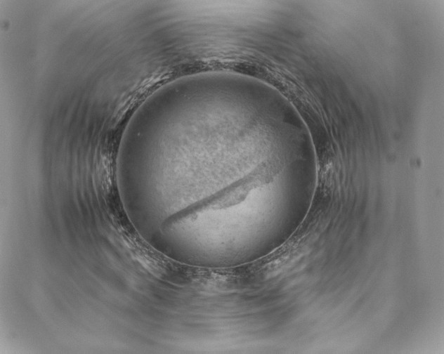 X0000088600772200705251213