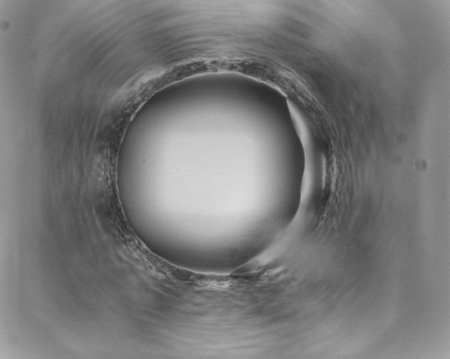 X0000088600773200705251213