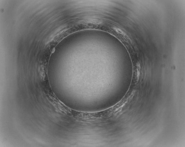 X0000088600774200705251213