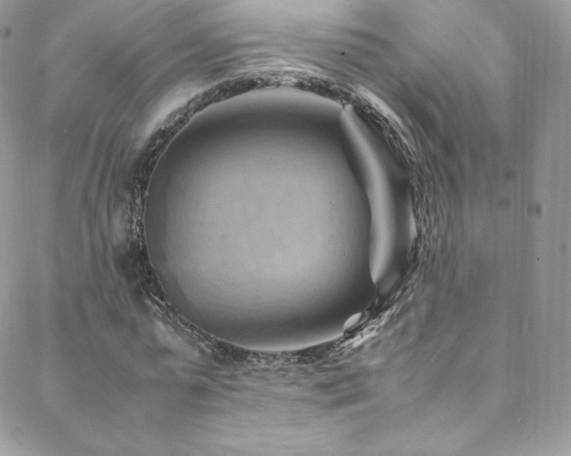 X0000088600775200705251213