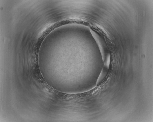 X0000088600776200705251213