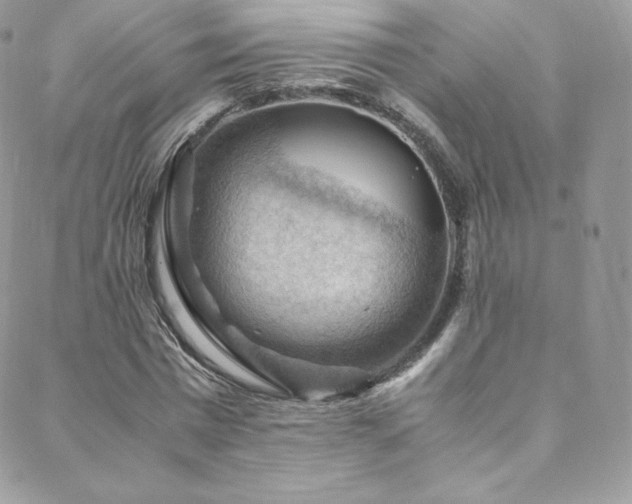 X0000088600777200705251213