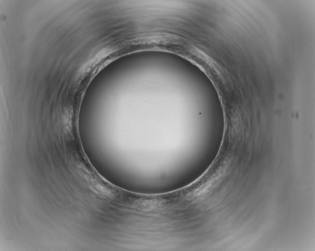 X0000088600778200705251213