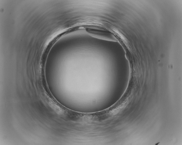 X0000088600779200705251213