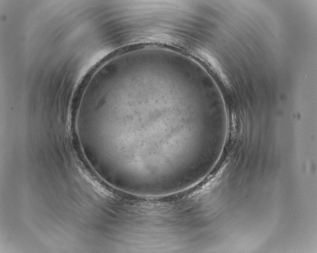 X0000088600780200705251213