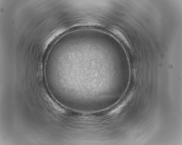 X0000088600781200705251213