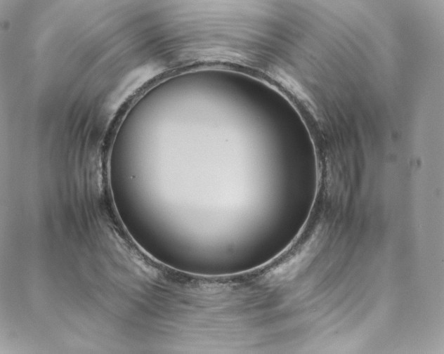 X0000088600782200705251213