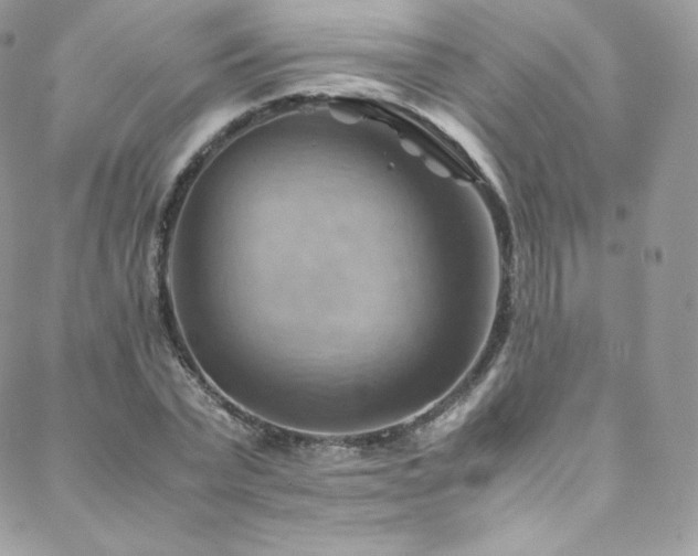 X0000088600783200705251213