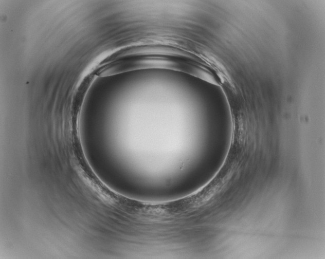 X0000088600784200705251213