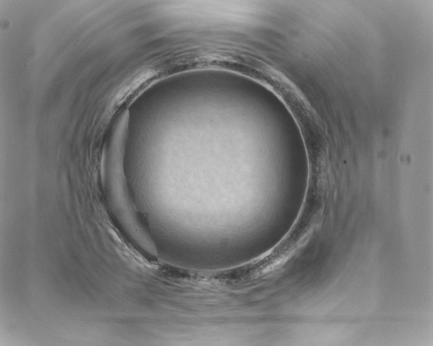 X0000088600785200705251213