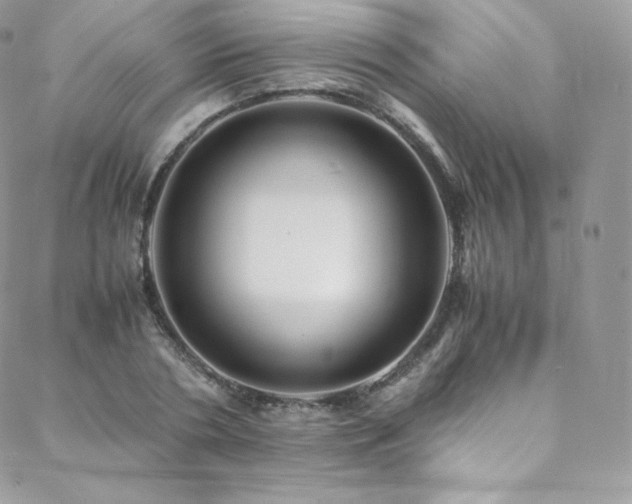 X0000088600786200705251213