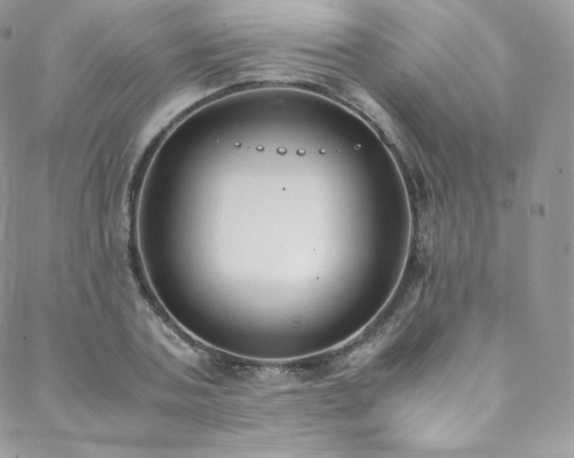 X0000088600787200705251213