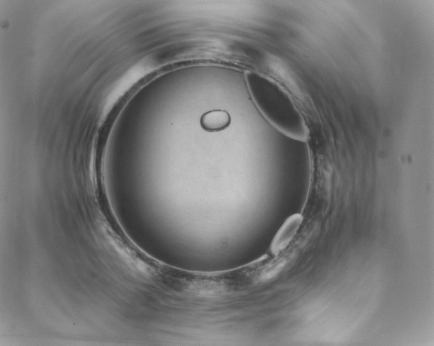 X0000088600788200705251213