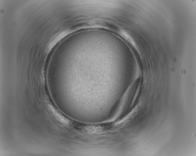 X0000088600789200705251213