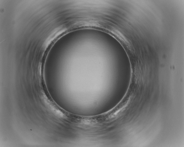 X0000088600790200705251213