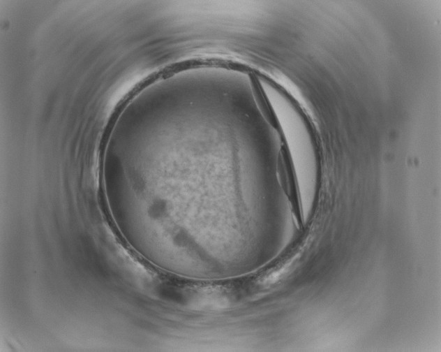 X0000088600791200705251213