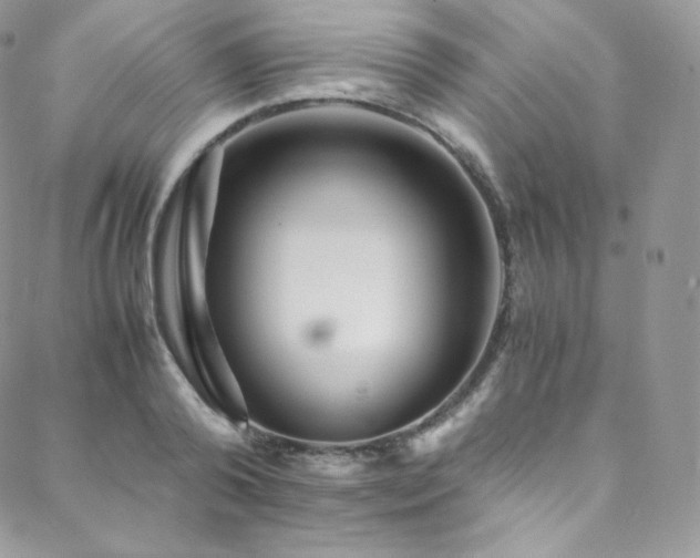 X0000088600792200705251213